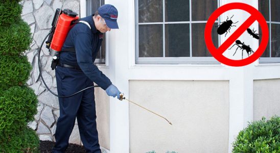 Döşemealtı Fare İlaçlama böcek ilaçlama ve haşere kontrolü — ilaclama-tr.com
